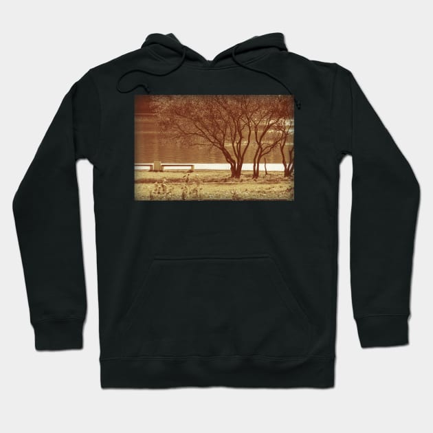 Autumn In City Park Hoodie by cinema4design